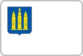 Vlag Lith - 200 x 300 cm - Polyester