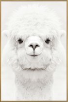 JUNIQE - Poster met kunststof lijst Smiling Alpaca -60x90 /Wit