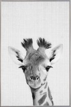 JUNIQE - Poster met kunststof lijst Giraffe - monochrome foto -40x60