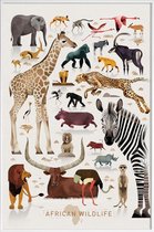 JUNIQE - Poster in kunststof lijst Vintage Afrika -60x90 /Kleurrijk
