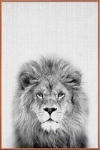 JUNIQE - Poster met kunststof lijst Leeuw zwart-wit foto -40x60 /Grijs
