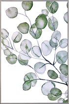 JUNIQE - Poster met kunststof lijst Eucalyptus aquarel -30x45 /Groen &