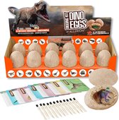 Allerion Dino Graaf Kit - 12 Dino Eieren – Speelset - Archeologie - Educatief Speelgoed - Inclusief Borstels, Beitels en Informatiekaartjes