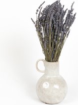 Lavendel gedroogd - Droogbloemen - Geurend