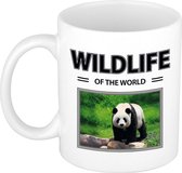 Panda mok met dieren foto wildlife of the world