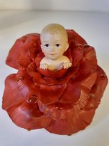 Baby beeldje Rose Dew-Drop-Babies  8x8x8 cm
