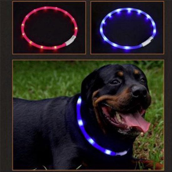 Lichtgevende halsband hond blauw | LED honden halsband LED |  USB oplaadbaar | 70 cm - Merkloos