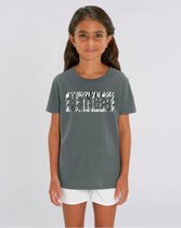 T-Shirt Harlem  Zebra Antraciet