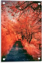 Tuinposter – Oranje Bos - 40x60cm Foto op Tuinposter  (wanddecoratie voor buiten en binnen)
