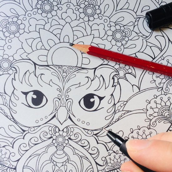 Masja van den Berg - Masja's Mandala's Deel 2- kleurboek - kleuren voor volwassenen - mandala