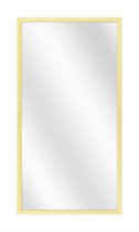 Spiegel met Luxe Aluminium Lijst - Mat Champagne - 40 x 120 cm