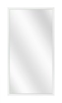Spiegel met Luxe Aluminium Lijst - Mat Zilver - 40 x 120 cm
