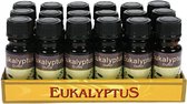 Huile aromatique - Eucalyptus - 10 ml - Tous les Diffuseurs de parfum / Diffuseurs - Pour la maison