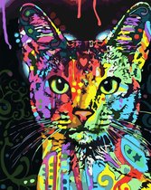 Paint by Number - Schilderen op Nummer - Colorful Cat - paintbynumber.eu