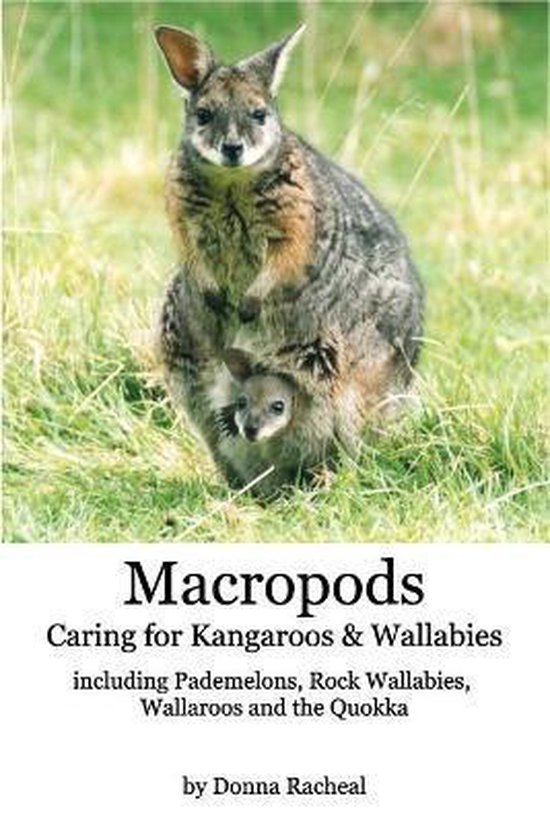 Macropods - Caring for Kangaroos and Wallabies