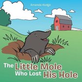 The Little Mole Who Lost His Hole