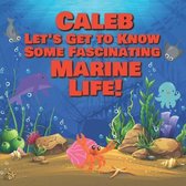 Caleb Let's Get to Know Some Fascinating Marine Life!