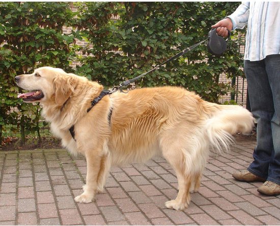 Zooselect Auto Veiligheidstuig Baro