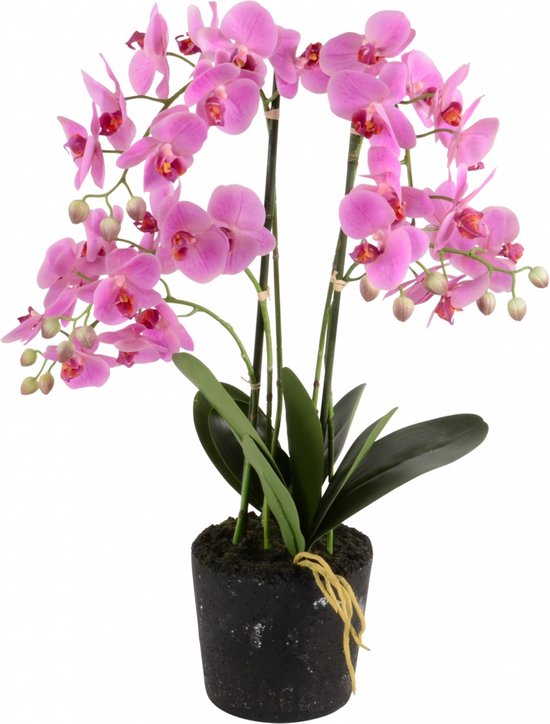 Kunstplant orchidee roze - 5 tak h68.5cm