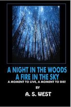 A Night in the Woods, a Fire in the Sky