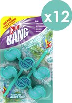 Cillit Bang - WC blokjes - Tropical Lagune - 12 x 2 (24) stuks - Voordeelverpakking - Toiletblokjes