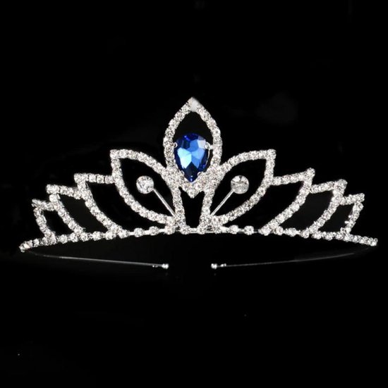 Fiory Tiara A11 | Tiara met strass steentjes| Kroontje bling bling|  prinsessen... | bol.com