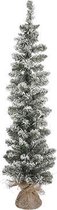 Black Box Trees - Sneeuw kerstboom groen frosted burlap TIPS 82 - h75xd20cm- Kerstbomen