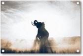 Olifant in Rijstveld - Tuinposter 120x80 - Wanddecoratie - Dieren