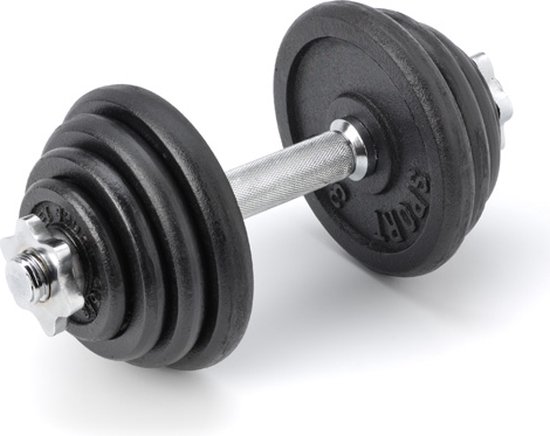 Vlek Overleg paus RS Sports Dumbellset - Halterset met gewichten - Totaal 15 kg - 1 stang -  zwart | bol.com