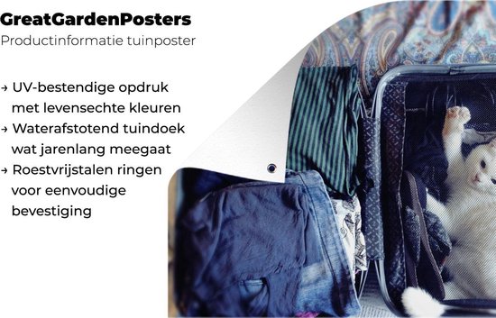 Chat dans une valise affiche de jardin toile en vrac 160x120 cm - Toile de jardin / Toile d'extérieur / Peintures d'extérieur (décoration de jardin) XXL / Groot format!