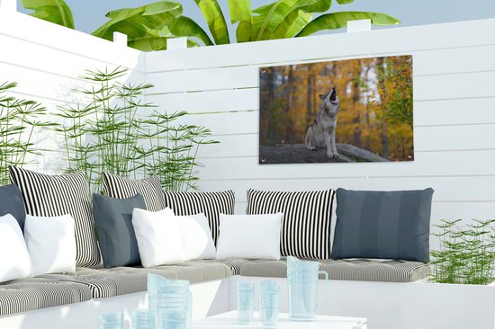 Tuinposter 60x40 cm - Tuindecoratie Wolf - Steen - Bos - Herfst - Poster voor in de tuin - Buiten decoratie - Schutting tuinschilderij - Tuindoek muurdecoratie - Wanddecoratie balkondoek