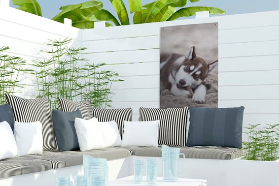 Husky chiot sur la plage affiche de jardin toile en vrac 40x60 cm - petit - toile de jardin / toile d'extérieur / Peintures pour l'extérieur (décoration de jardin)