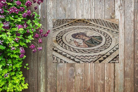 Une mosaïque aux fouilles de Paphos affiche de jardin 60x40 cm - petit - Toile de jardin / Toile d'extérieur / Peintures pour l'extérieur (décoration de jardin)