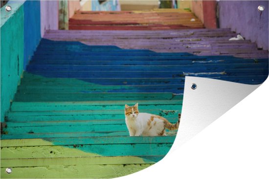 Affiche De Jardin Escalier Aux Couleurs De L Arc En Ciel En Jordanie 90x60 Cm Toile Bol Com Affiche De Jardin Escalier Aux Couleurs De L Arc En Ciel En Jordanie 90x60 Cm Toile Bol Com