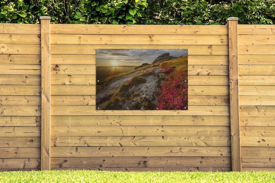 Fleurs roses sur le paysage vallonné de Dartmoor National Park Garden poster 120x80 cm - Toile de jardin / Toile d'extérieur / Peintures pour l'extérieur (décoration de jardin)