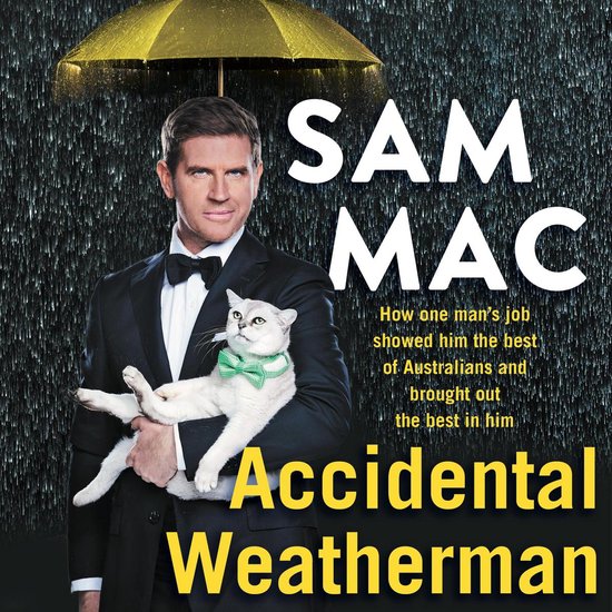 Accidental Weatherman - cover