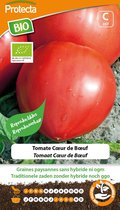 Protecta Groente zaden: Tomaat Cœur de Bœuf Biologisch