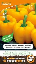 Protecta Groente zaden: Paprika yellow California Wonder