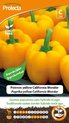 Protecta Groente zaden: Paprika yellow California Wonder