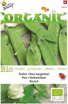 Buzzy® Organic Peulen Record (BIO)