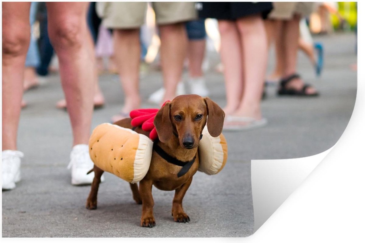 Muursticker Abstracte Honden - Teckel verkleed als hotdog - 120x80 cm - zelfklevend plakfolie - herpositioneerbare muur sticker - StickerSnake
