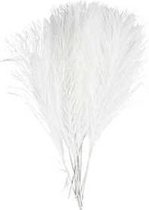 Kunstveren, l: 15 cm, b: 8 cm, wit, 10stuks