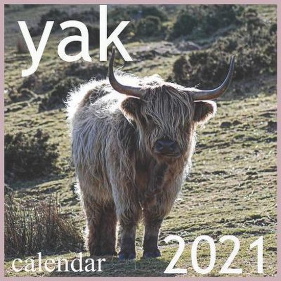 yak, Calendar 2021 Pub Print 9798655402867 Boeken