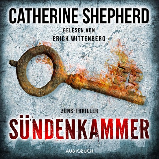 Sündenkammer (Zons-Thriller 9) - cover