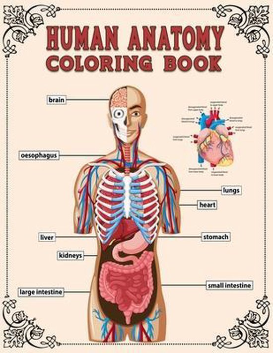 Human Anatomy Coloring Book, Taslima Coloring Books | 9798733641768 |  Livres | bol