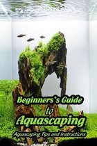 Beginners's Guide to Aquascaping: Aquascaping Tips and Instructions