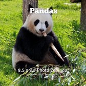 Panda 8.5 X 8.5 Calendar September 2021- December 2022