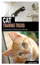 Cat Training Tricks