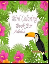 Bird coloring book for adult