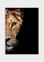 Poster Blue Eyes Lioness - Dibond - Meerdere Afmetingen & Prijzen | Wanddecoratie - Interieur - Art - Wonen - Schilderij - Kunst